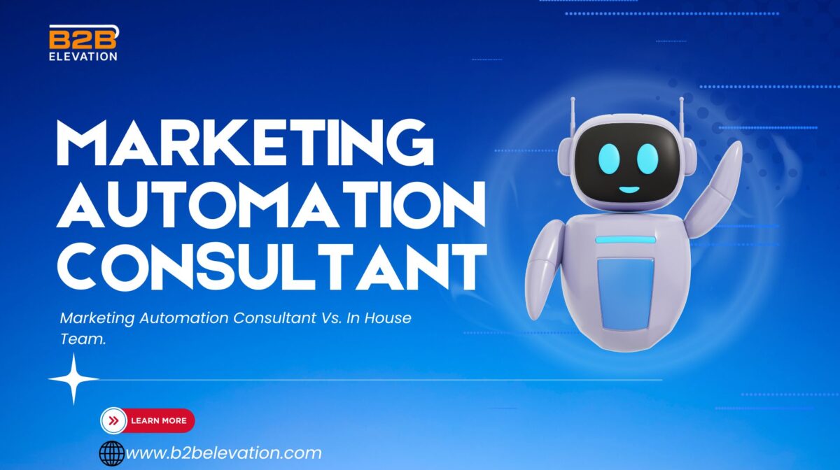 Marketing Automation Consultant