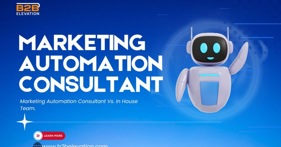 Marketing Automation Consultant