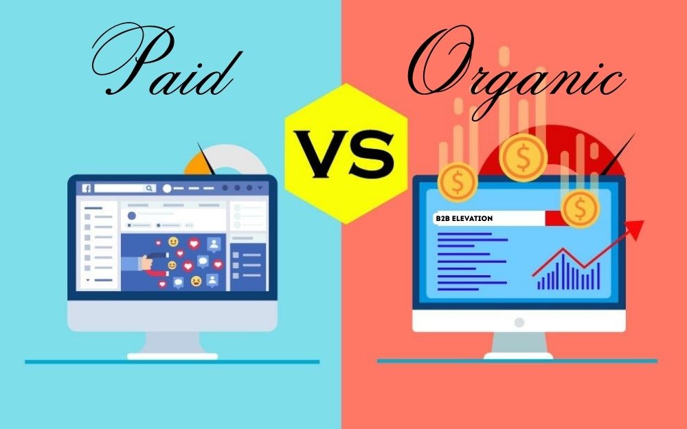 Paid vs. Organic - B2B Elevation