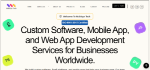 Multisyn Tech SEO Company