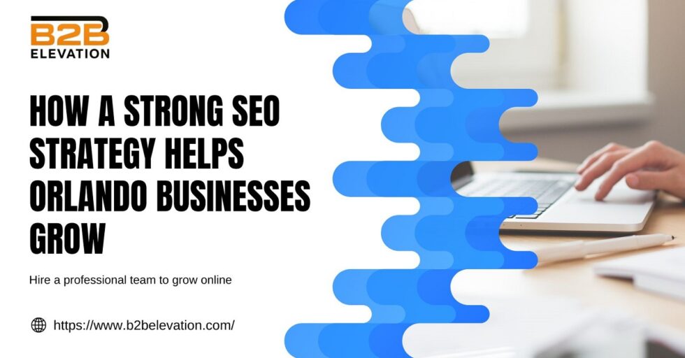 SEO Strategy SEO Strategy