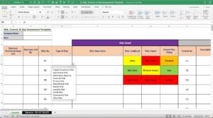 Risk Management Template